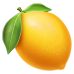 Lemon Slice