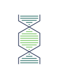 Yemaachi Biotechnology
