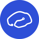 BrainKey