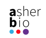 Asher Bio
