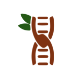 Tamarind Bio